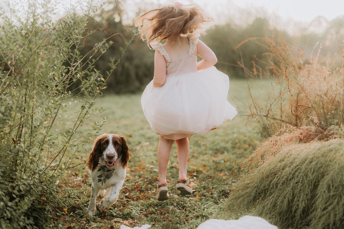 A girl in a tulle dress running through a field with the family spaniel beside her