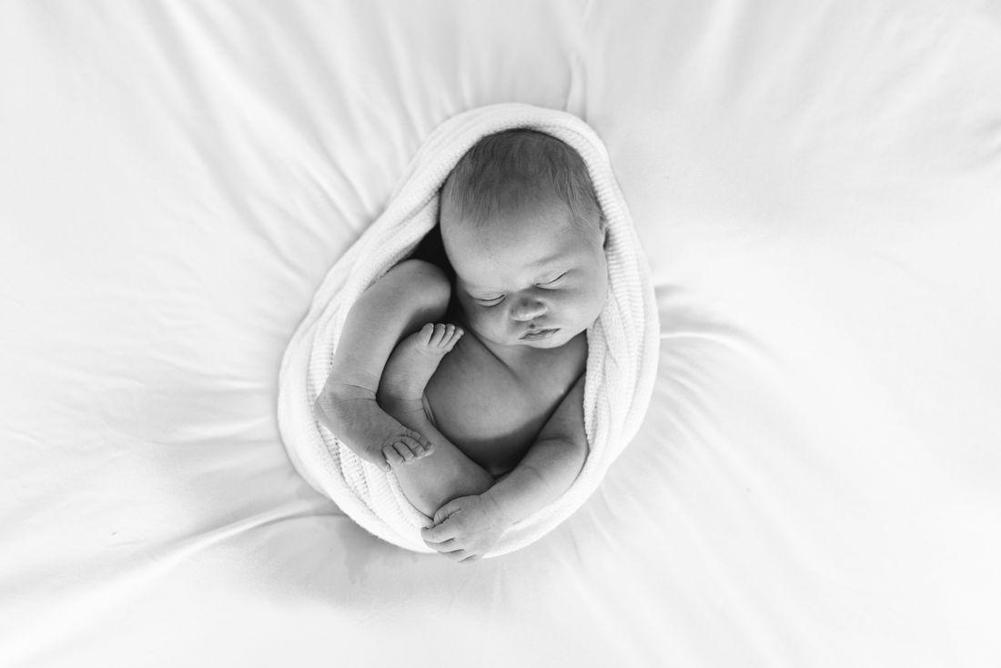 Black and white overhead photo of a newborn curled inside a knit wrap on white bedding