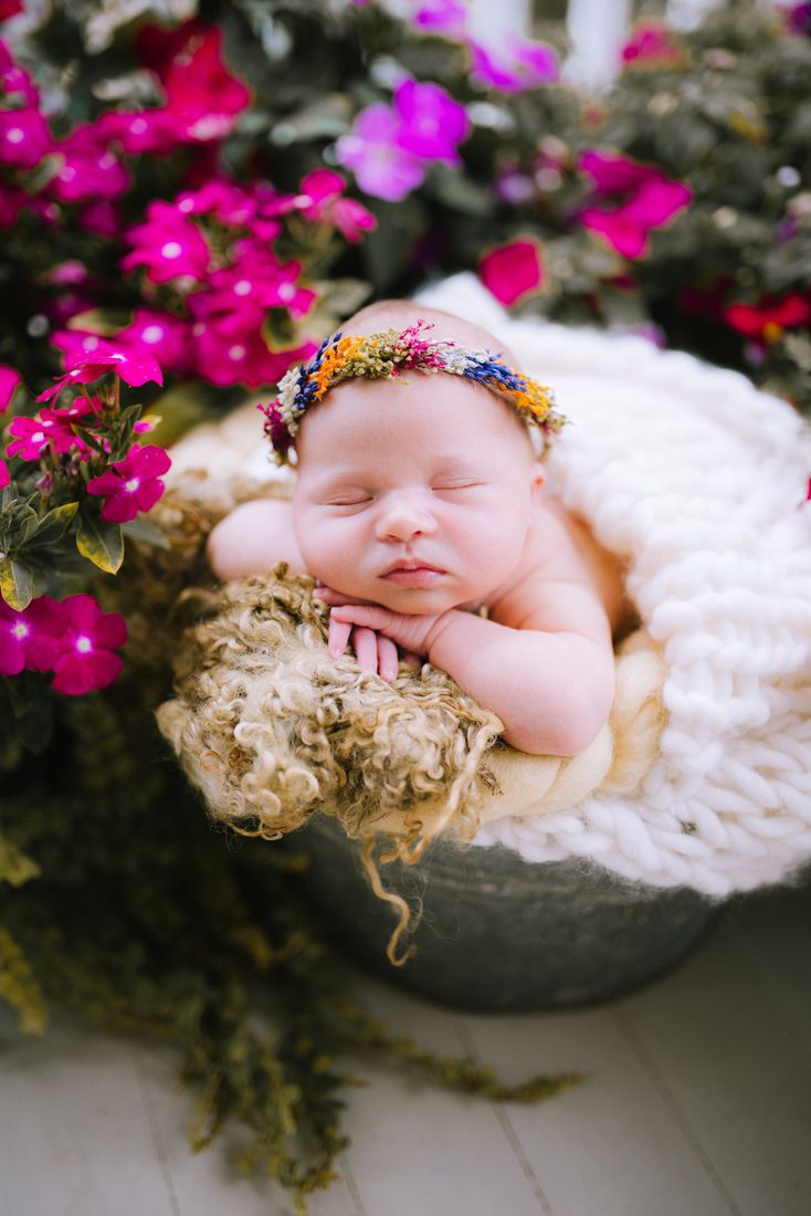 A newborn in a wildflower crown asleep over folded arms, bright pink blooms all around her