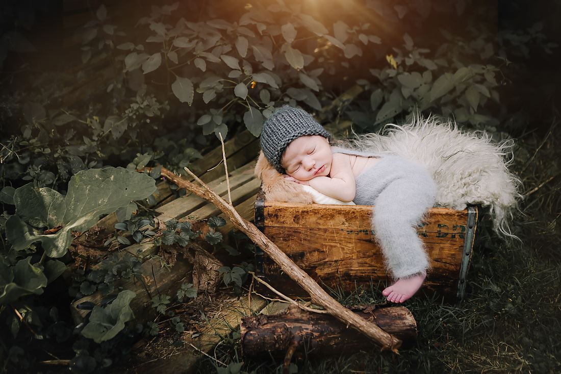 A newborn in a grey knit hat and soft grey pants asleep on a sheepskin in a weathered wooden crate, tucked into a garden of ivy and fallen branches with late sun breaking through the leaves