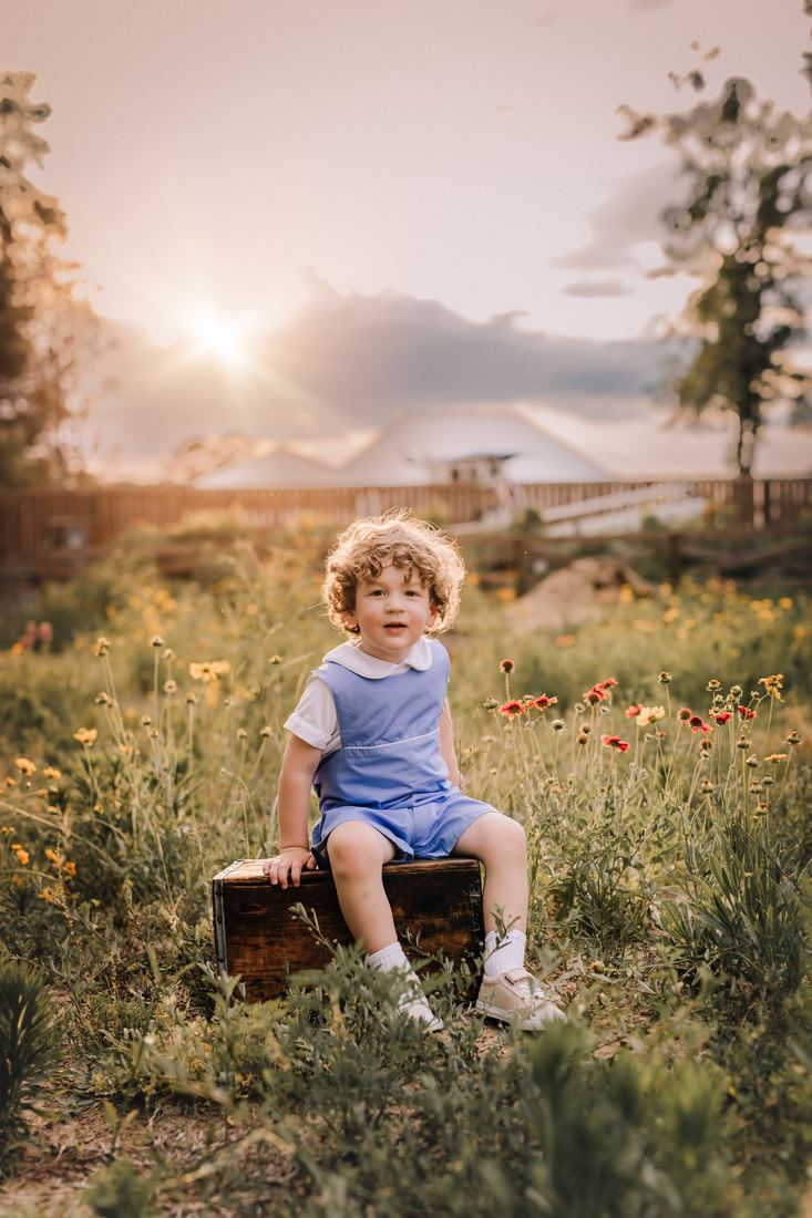 A curly-haired boy in a blue romper sitting on a wooden crate in a bed of wildflowers at sunset