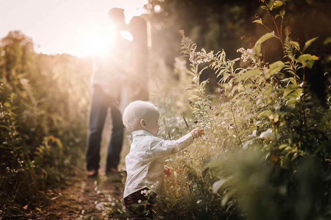 A toddler reaching out to touch the wildflowers along a path while his parents stand together further up in the light