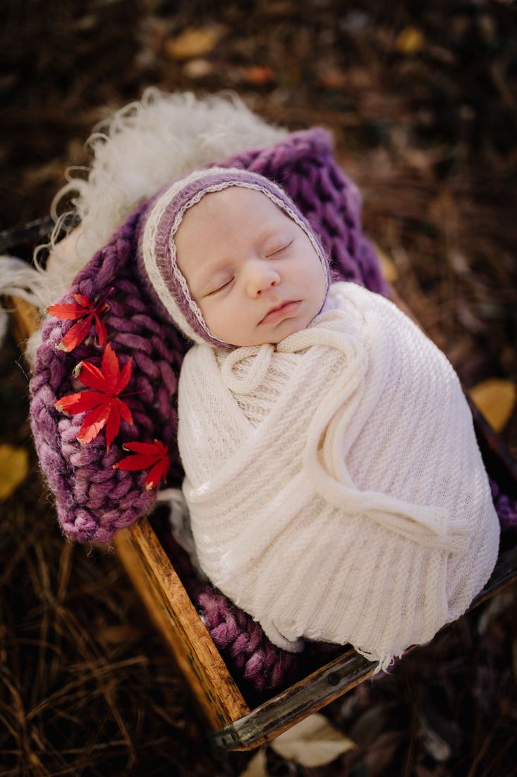 A newborn in a lilac bonnet and cream wrap asleep on a purple chunky knit blanket outdoors, red maple leaves tucked beside her