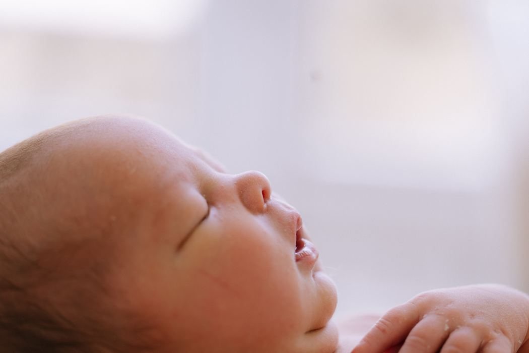 Profile close-up of a sleeping newborn in soft window light